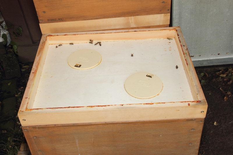 Bienenflucht auf Brutraum Bienenflucht auf Brutraum